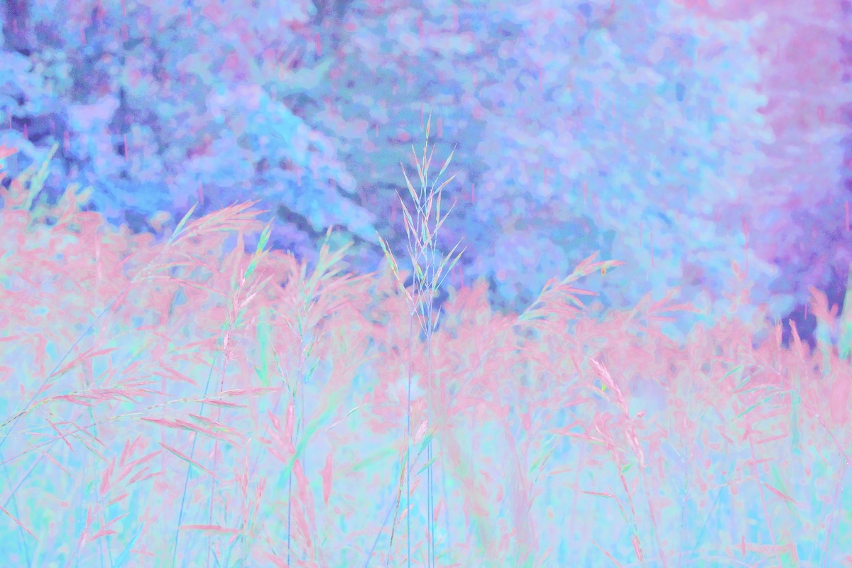 haute herbes I